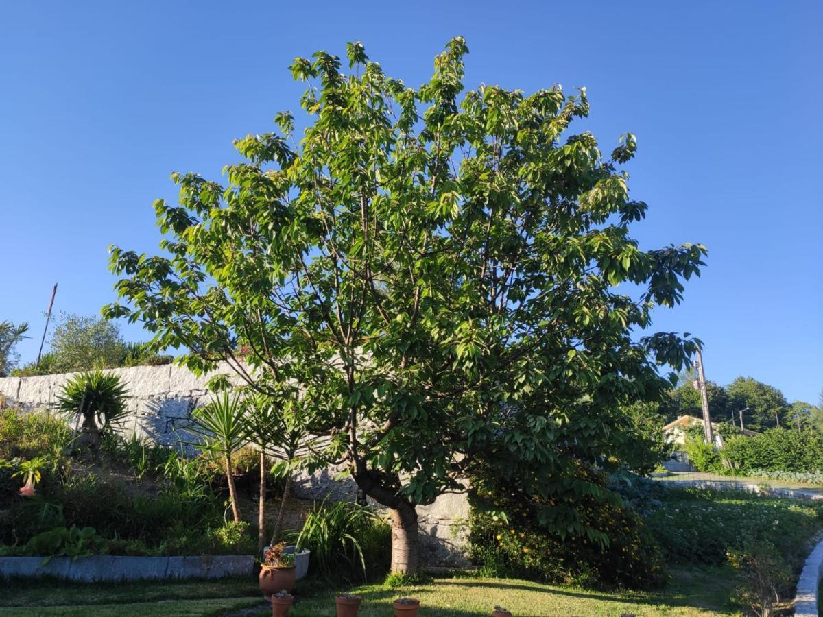 Propriedade Do Pires Guimarães Exteriér fotografie